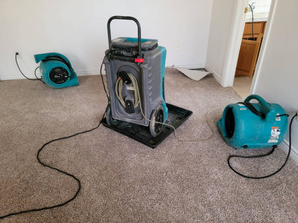 Swanton, OH Water damage restoration Company