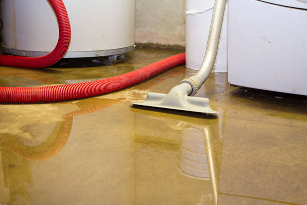 Local water damage restoration in Swanton, OH