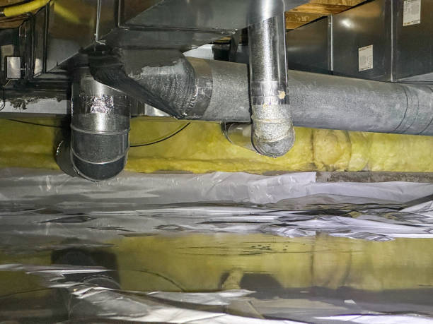 Best Residential water damage restoration  in Swanton, OH