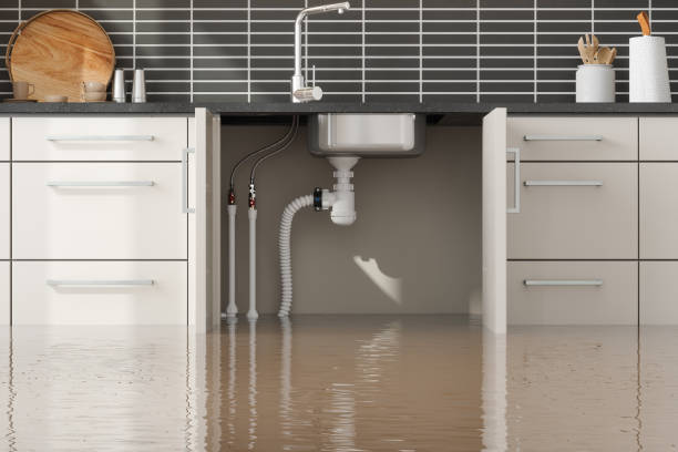 Best Ceiling water damage repair  in Swanton, OH